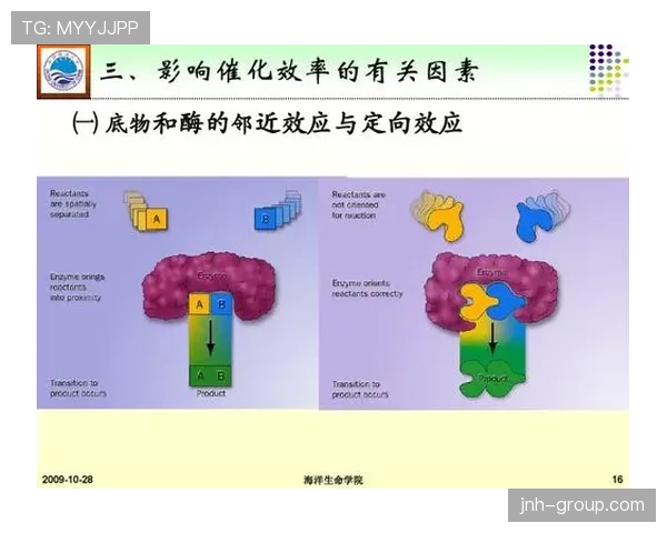莱万年龄增长对其竞技状态的影响机制解析